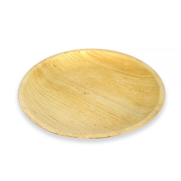 Disposable-Plates-10pcs-set-of-10-Areca-Palm-Leaf-Round-Plates-Eco-friendly-Diposable-Dinnerware save the planet